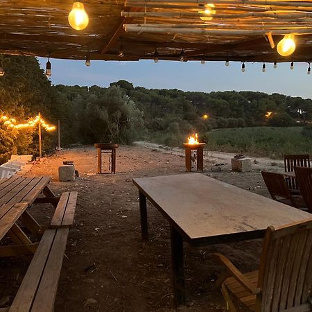 Appartements A La Ferme La Ciotat Ngoại thất bức ảnh